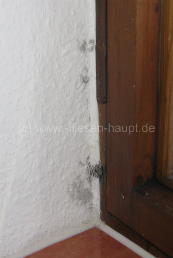 Schimmelbildung am Fenster aufgrund falschen Lüftens